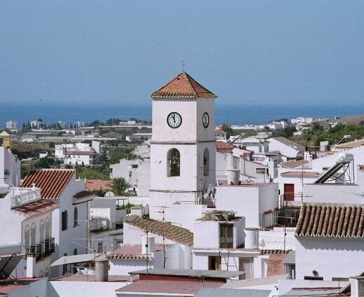 Algarobbo